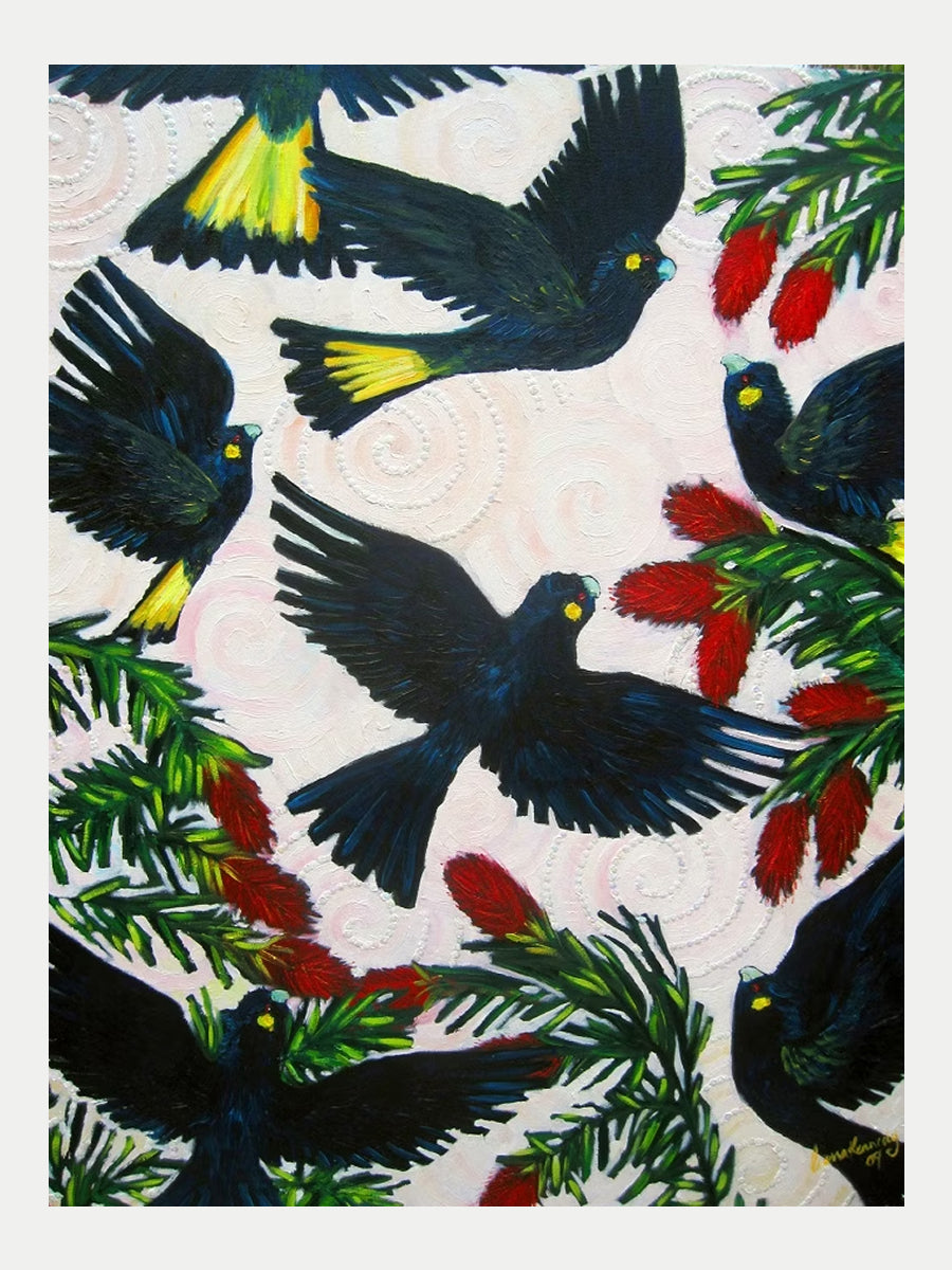 Black Cockatoos